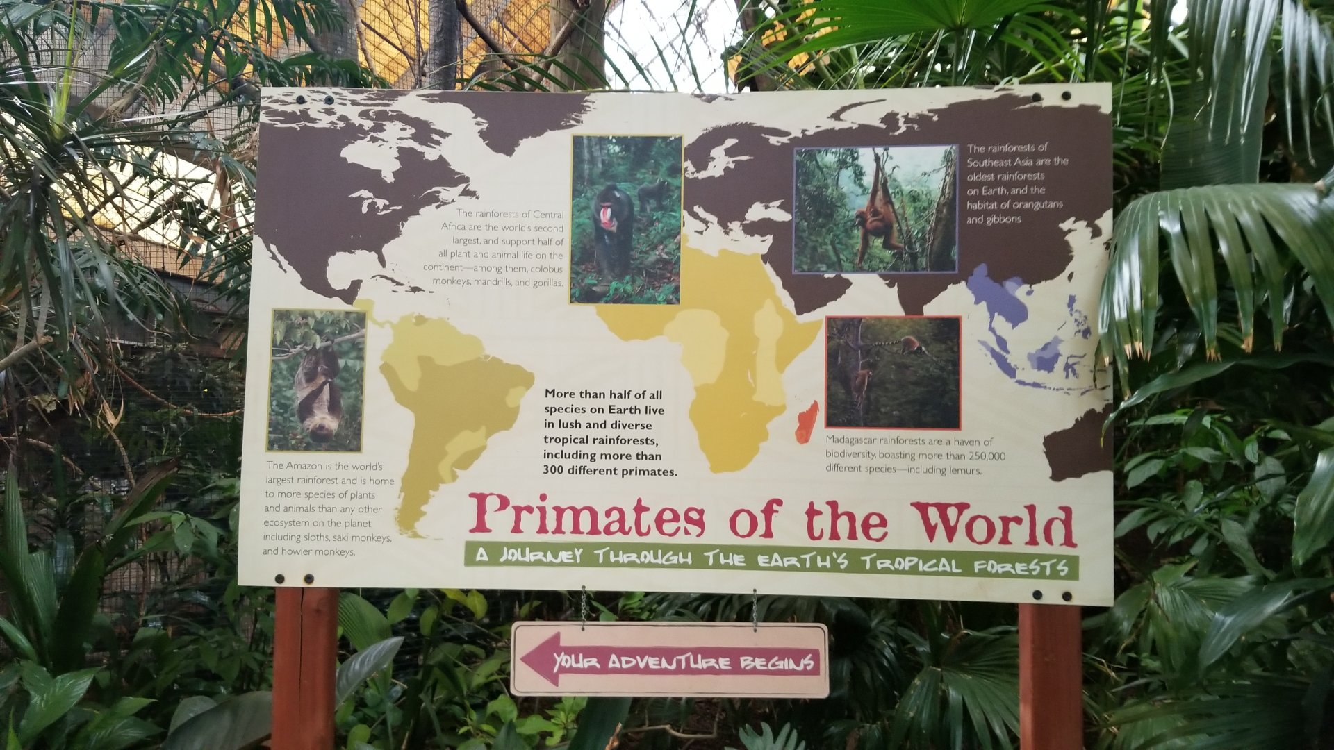 Pittsburgh Zoo - primates of the world sign