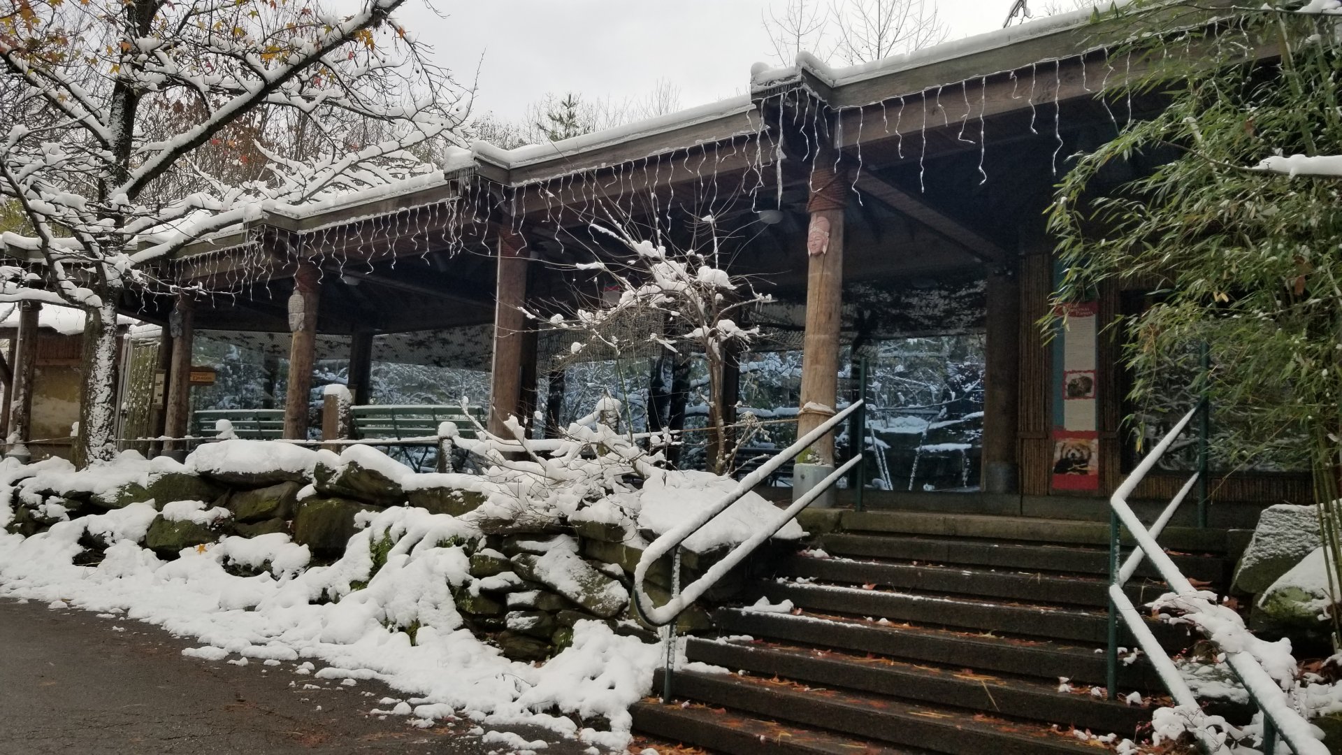 Pittsburgh Zoo - red panda and komodo exhibits
