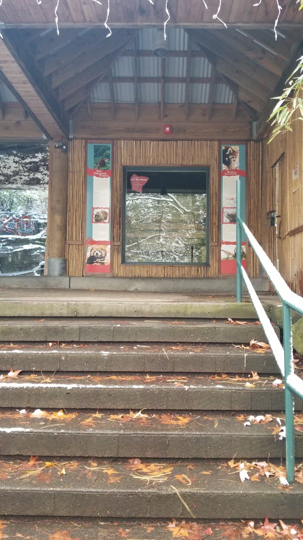 Pittsburgh Zoo - Red panda