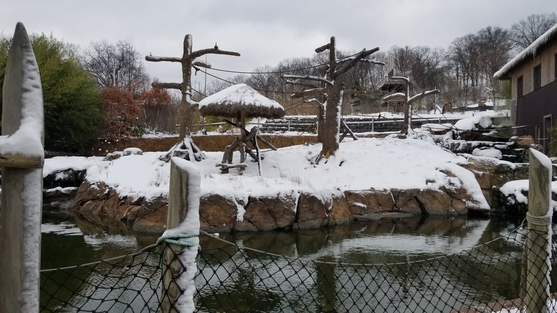 Pittsburgh Zoo - Siamang island