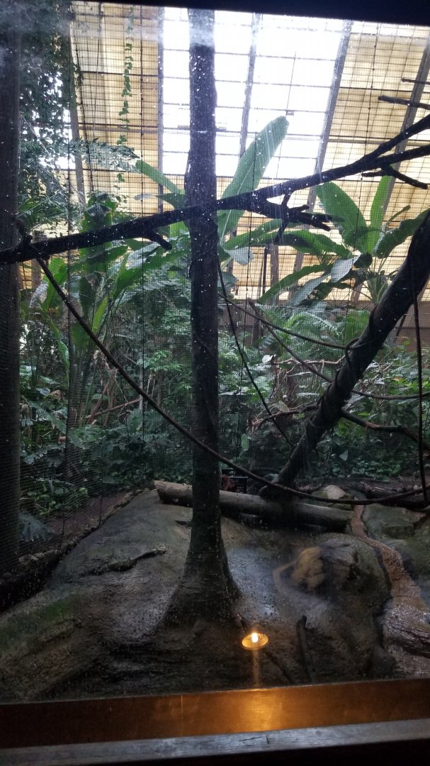 Pittsburgh Zoo - Sloth/cottontop/white-faced saki exhibit