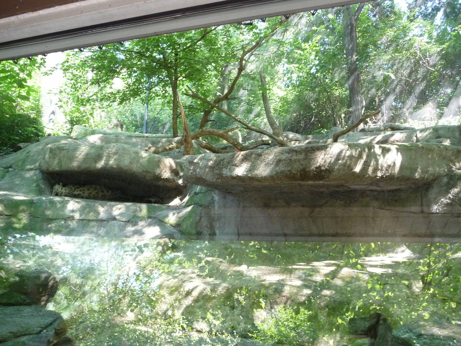 Pittsburgh Zoo - Snow leopard exhibit