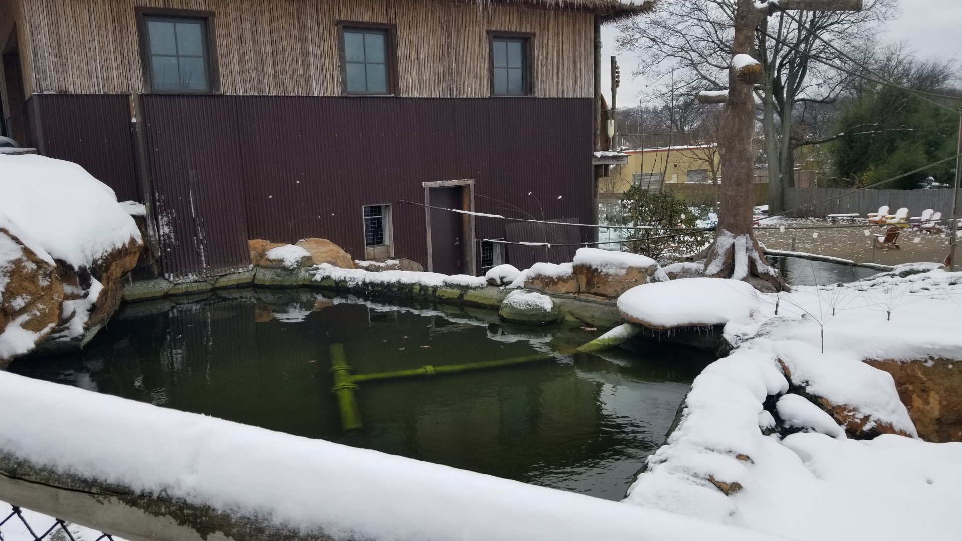Pittsburgh Zoo - Upper siamang area