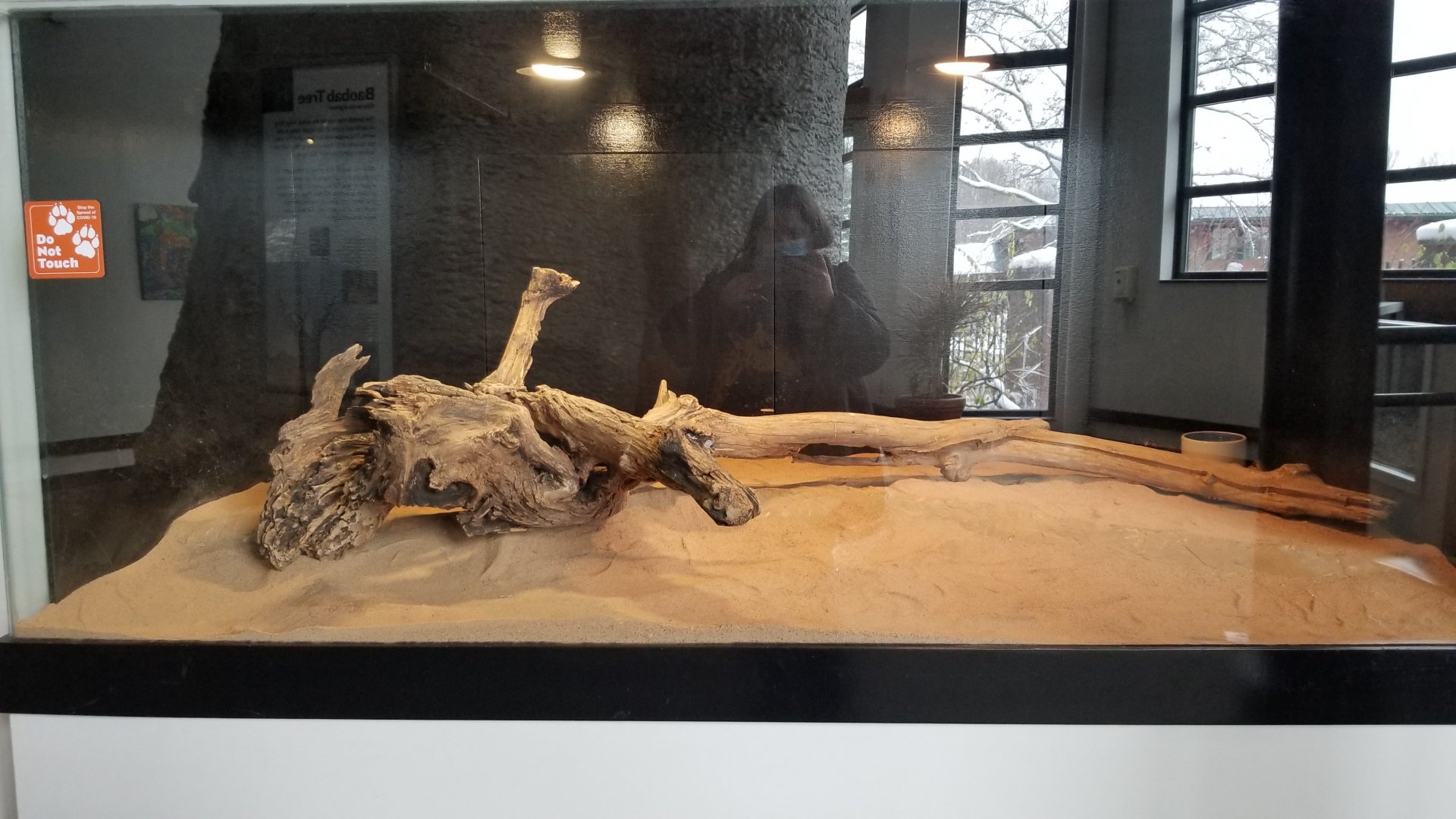 Pittsburgh Zoo - Western diamondback