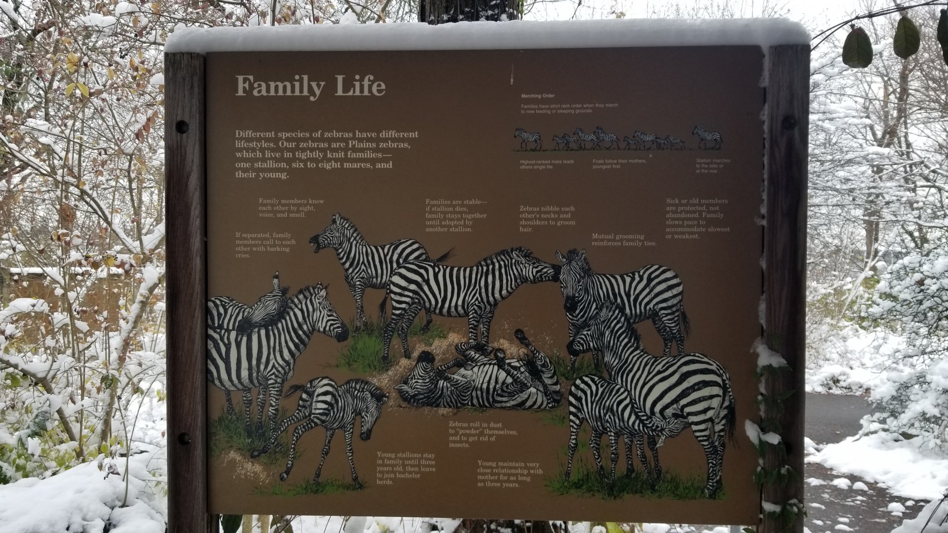 Pittsburgh Zoo - Zebra sign