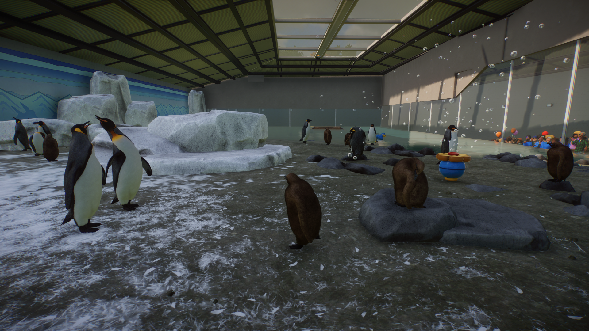 Pittsfield Zoo's King Penguin Colony