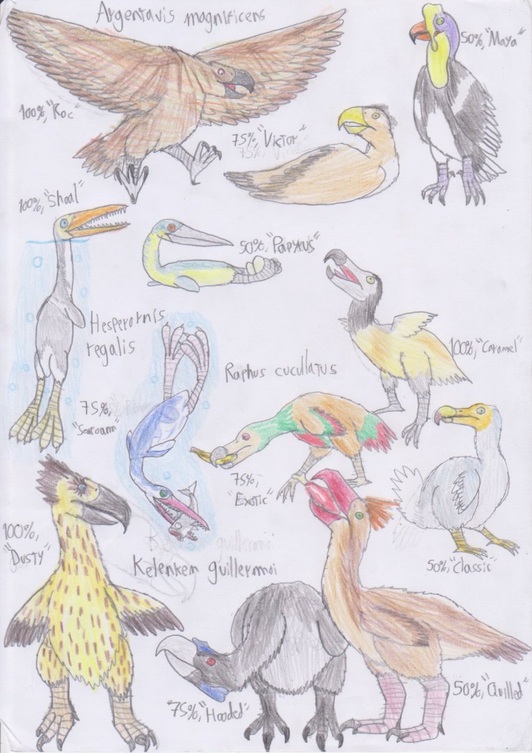 PKC: Brilliant birds