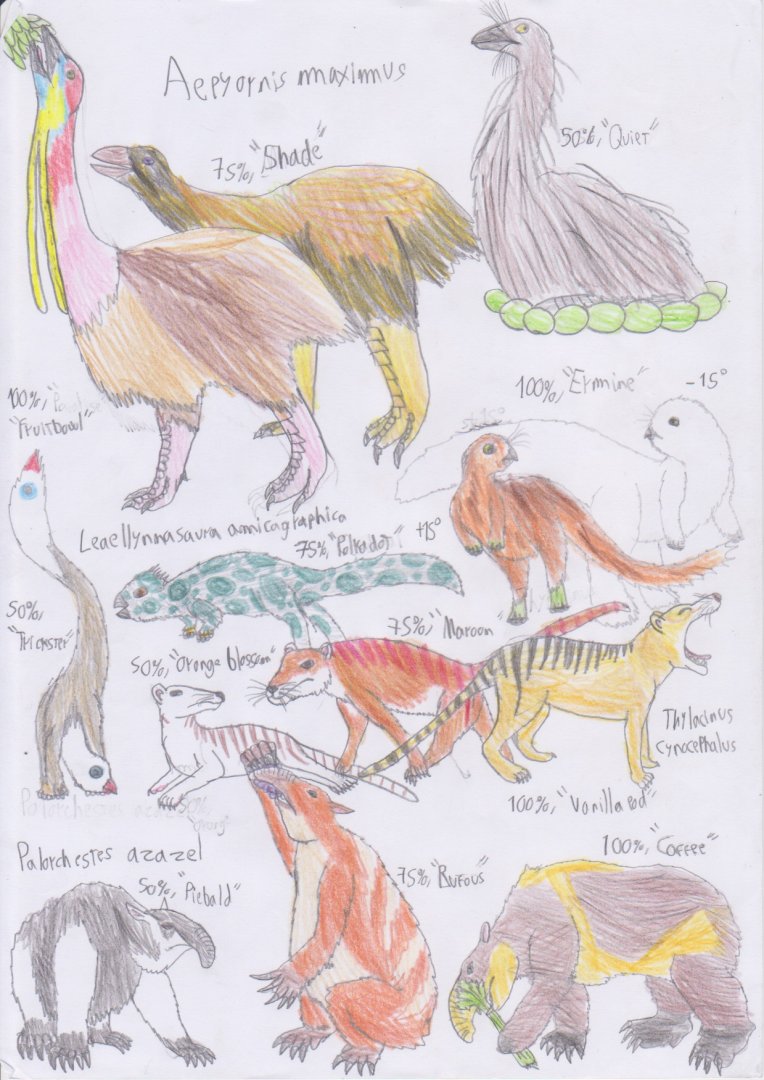 PKC: Insane Islanders