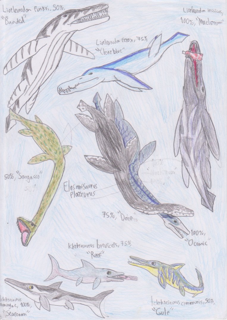 PKC: Marine reptiles
