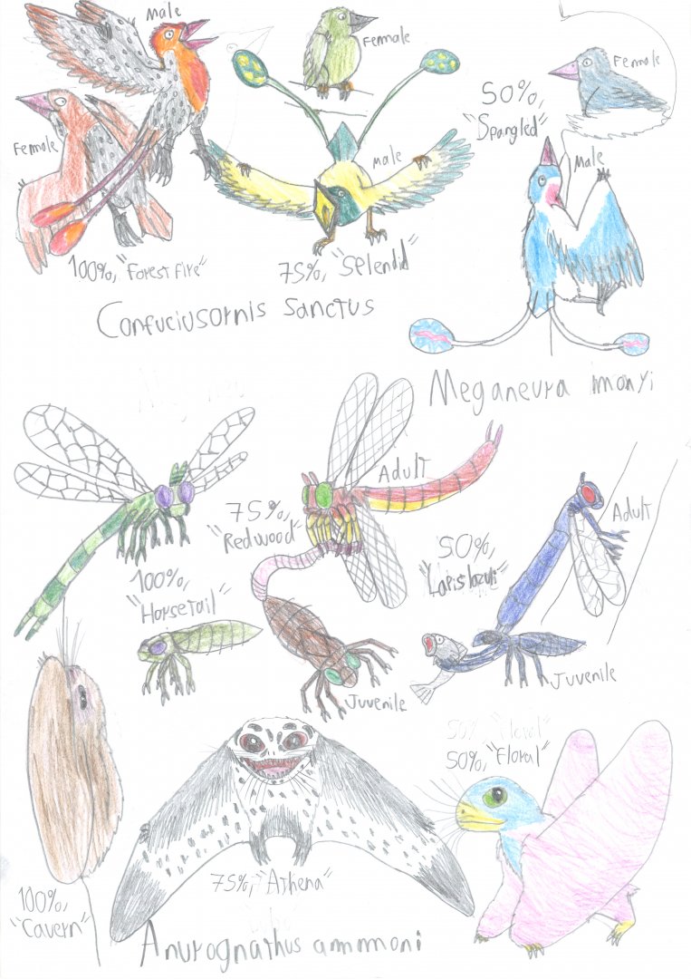 PKC: Mini-aviary variety