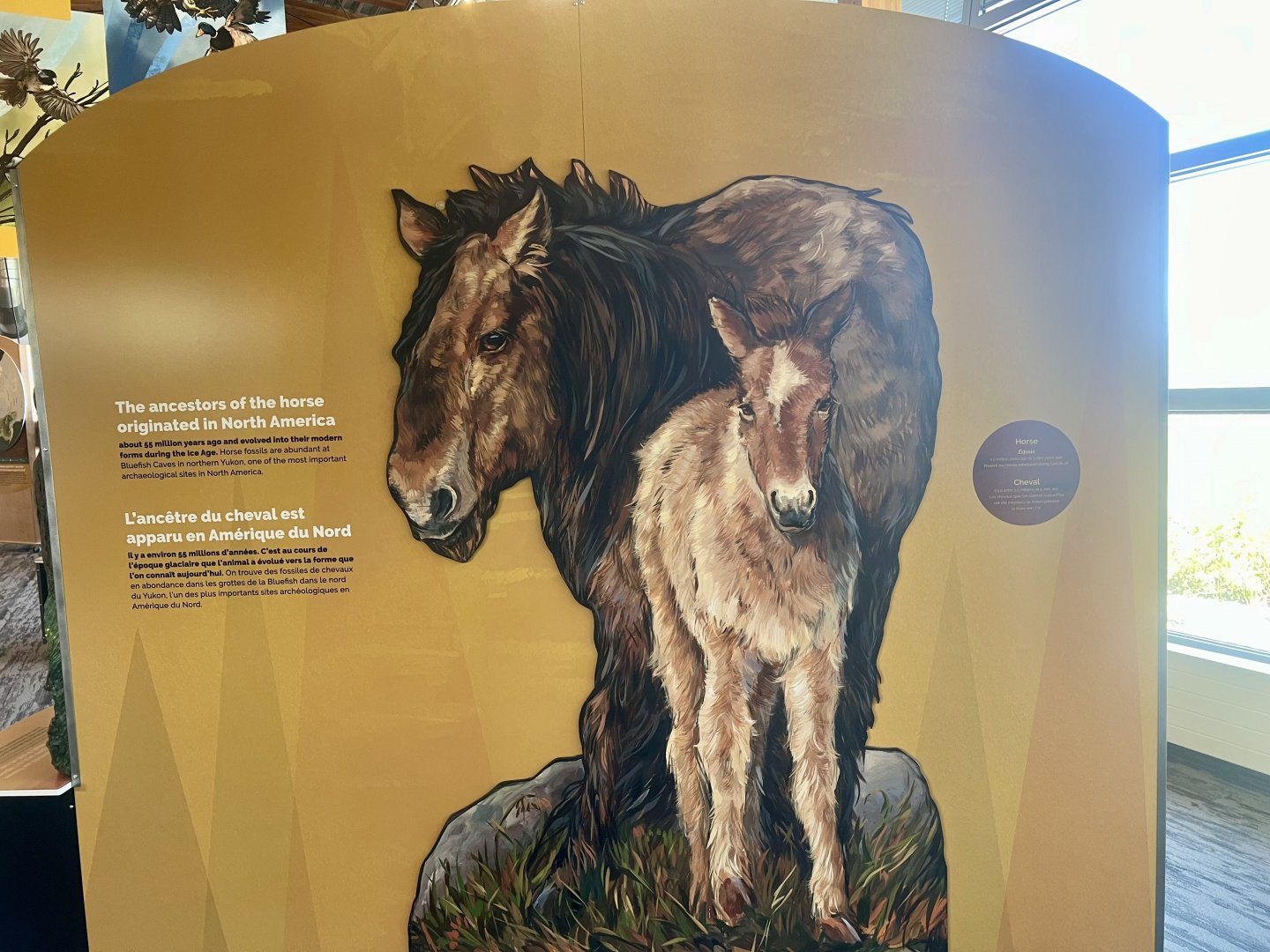 Placard discussing the Horse