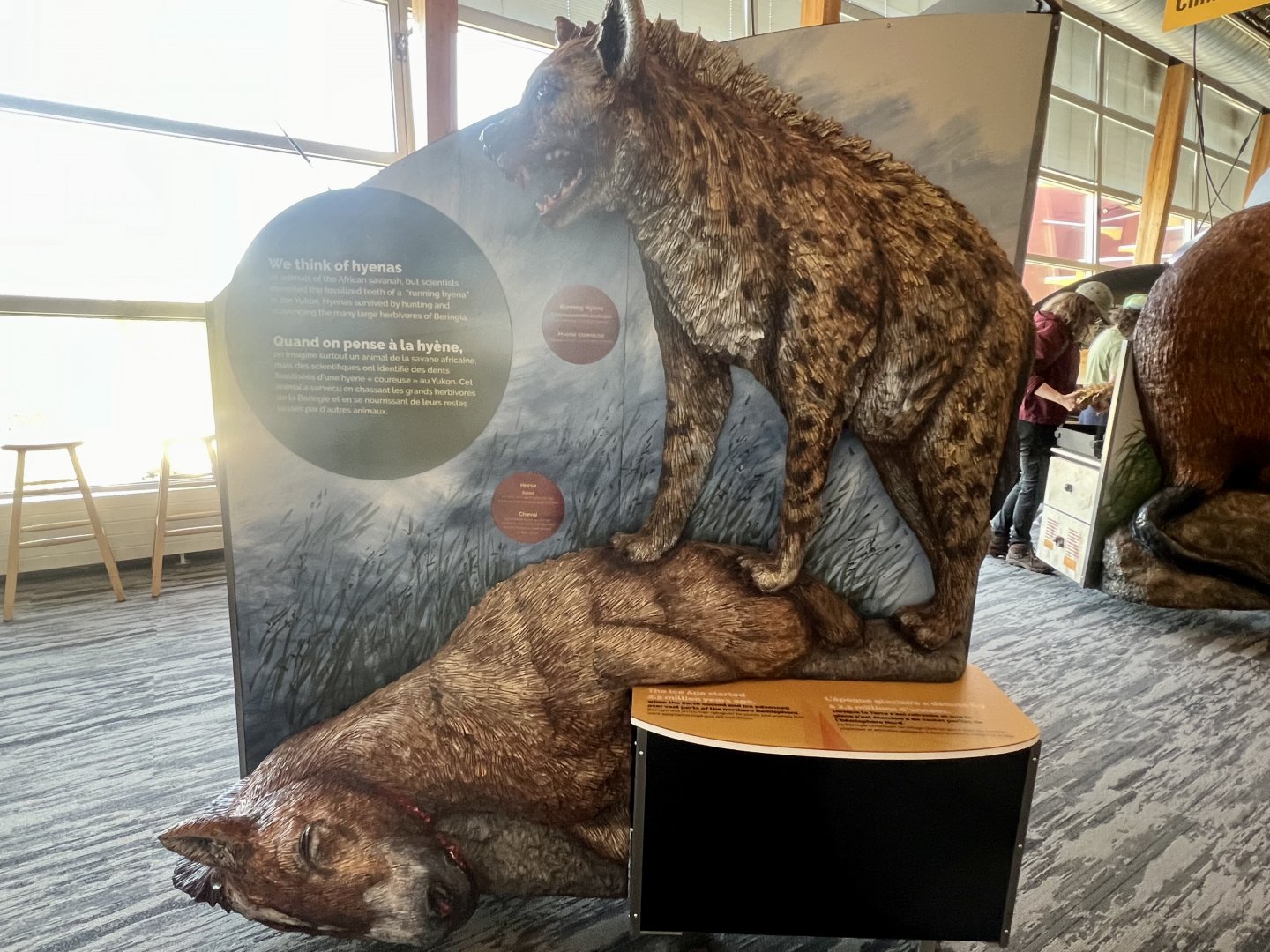 Placard discussing the Hyena