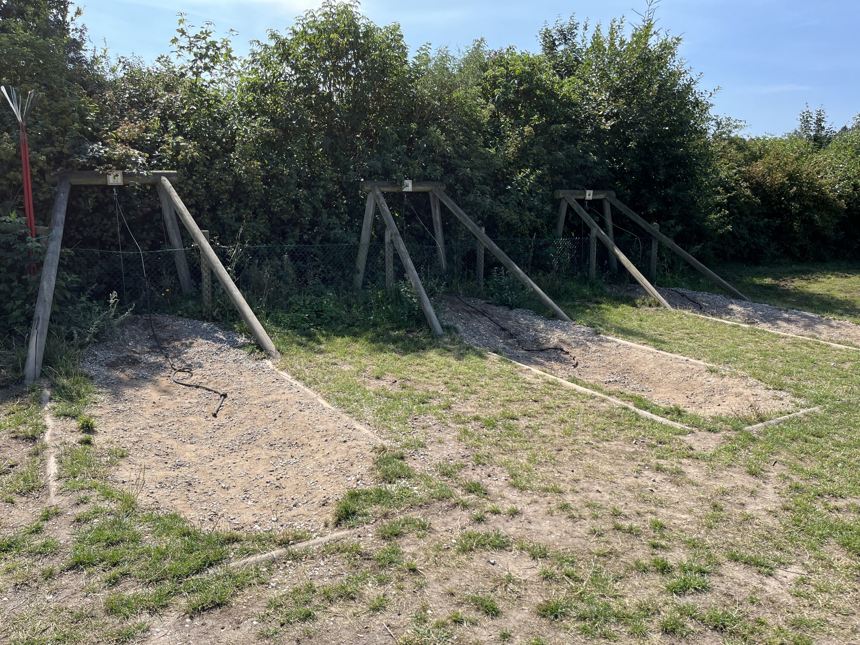 Place to leash pet dogs