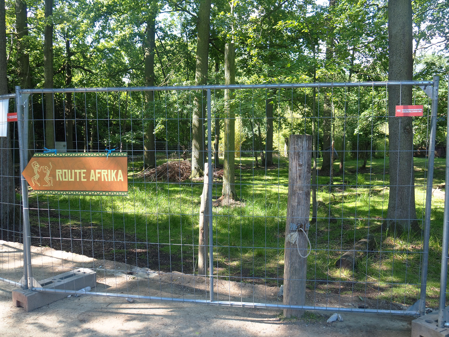 Placement of new fencing around the Mountain bongo and Kirk's dik-dik paddock, 2022-07-03