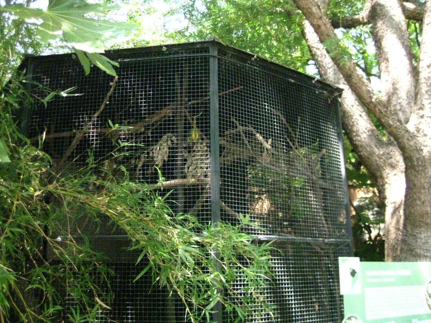 Plain Colored Amazon Exhibit