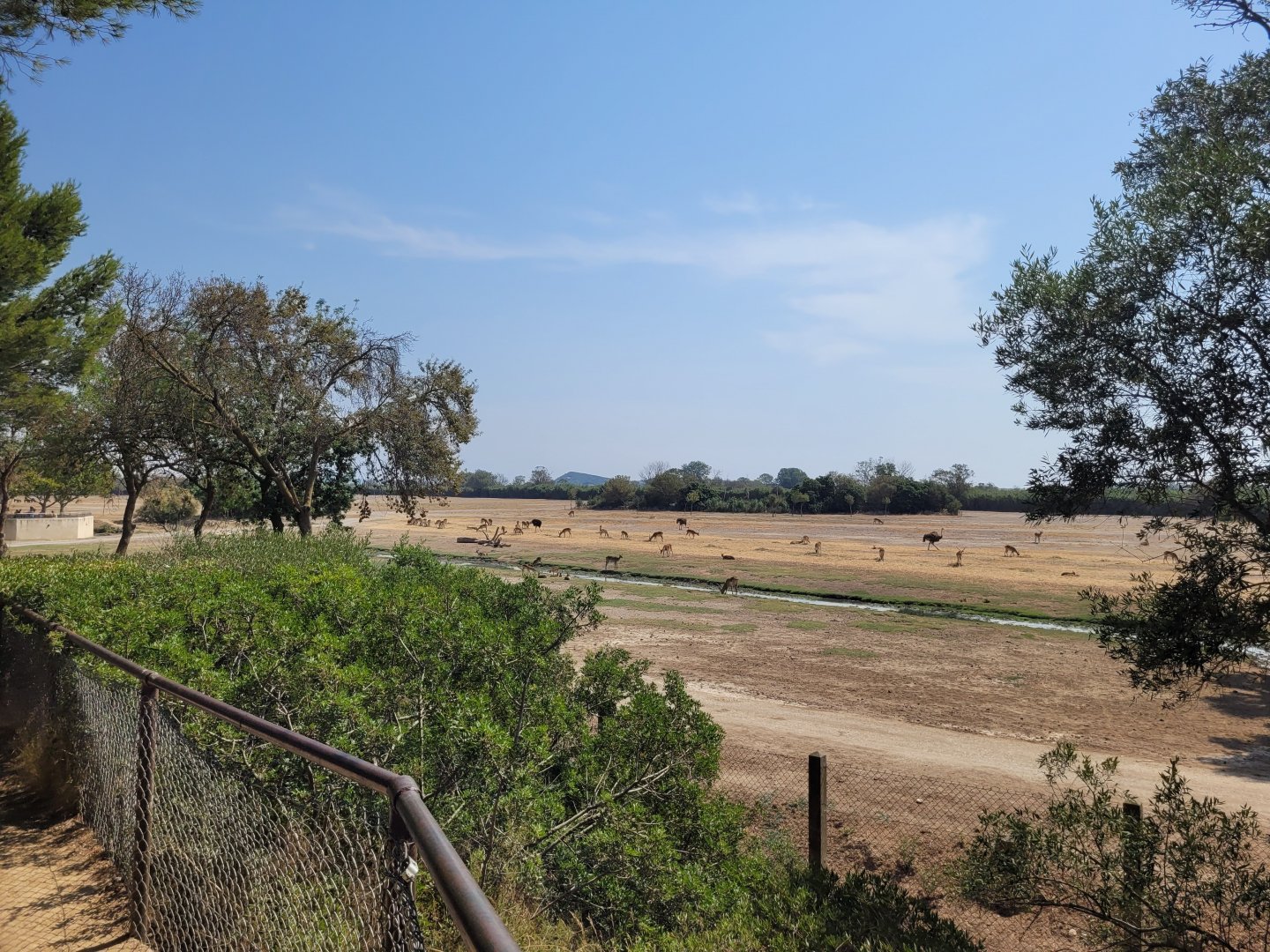 "Plaine Africaine" exhibit -Réserve Africaine de Sigean (2022)