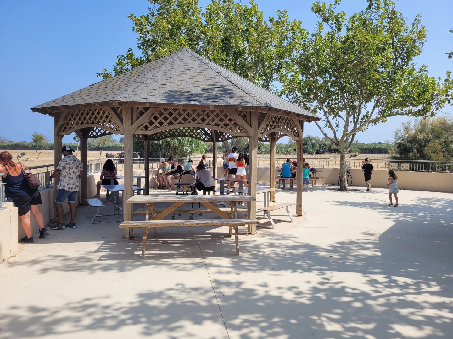 "Plaine Africaine" observatory -Réserve Africaine de Sigean (2022)