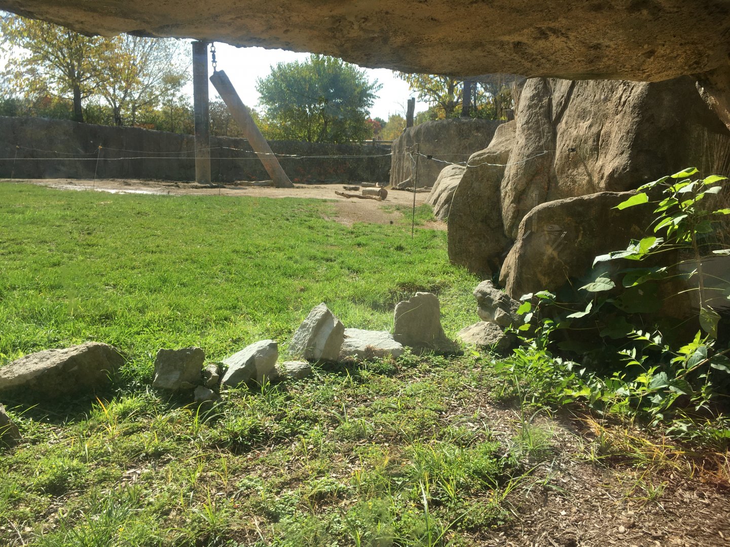 Plains - African Elephant Exhibit Glass Viewing