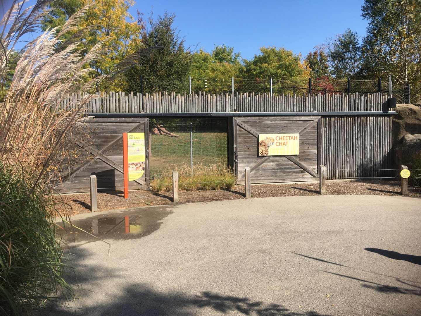 Plains - Cheetah Chat Area