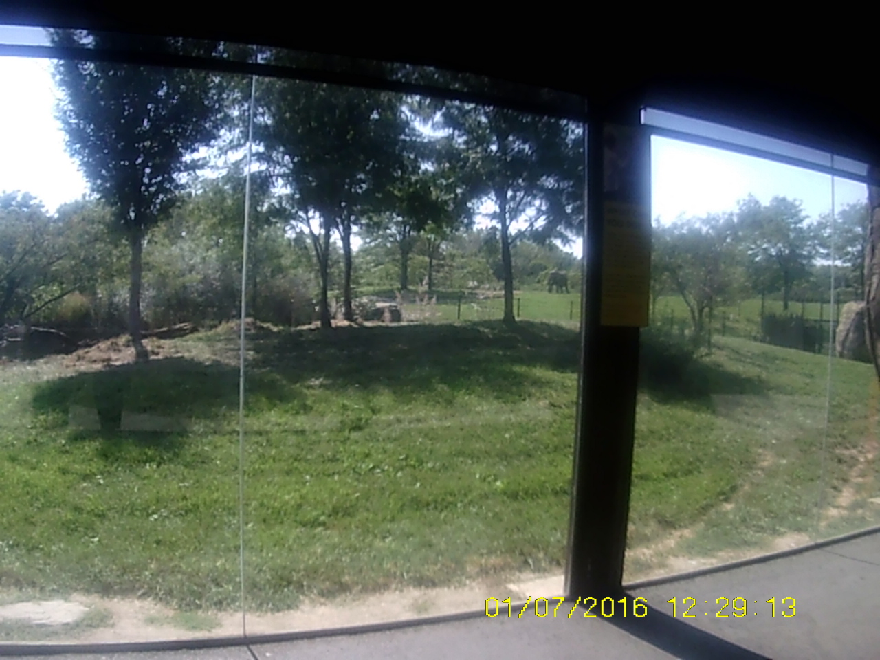 Plains - Cheetah Exhibit Viewing