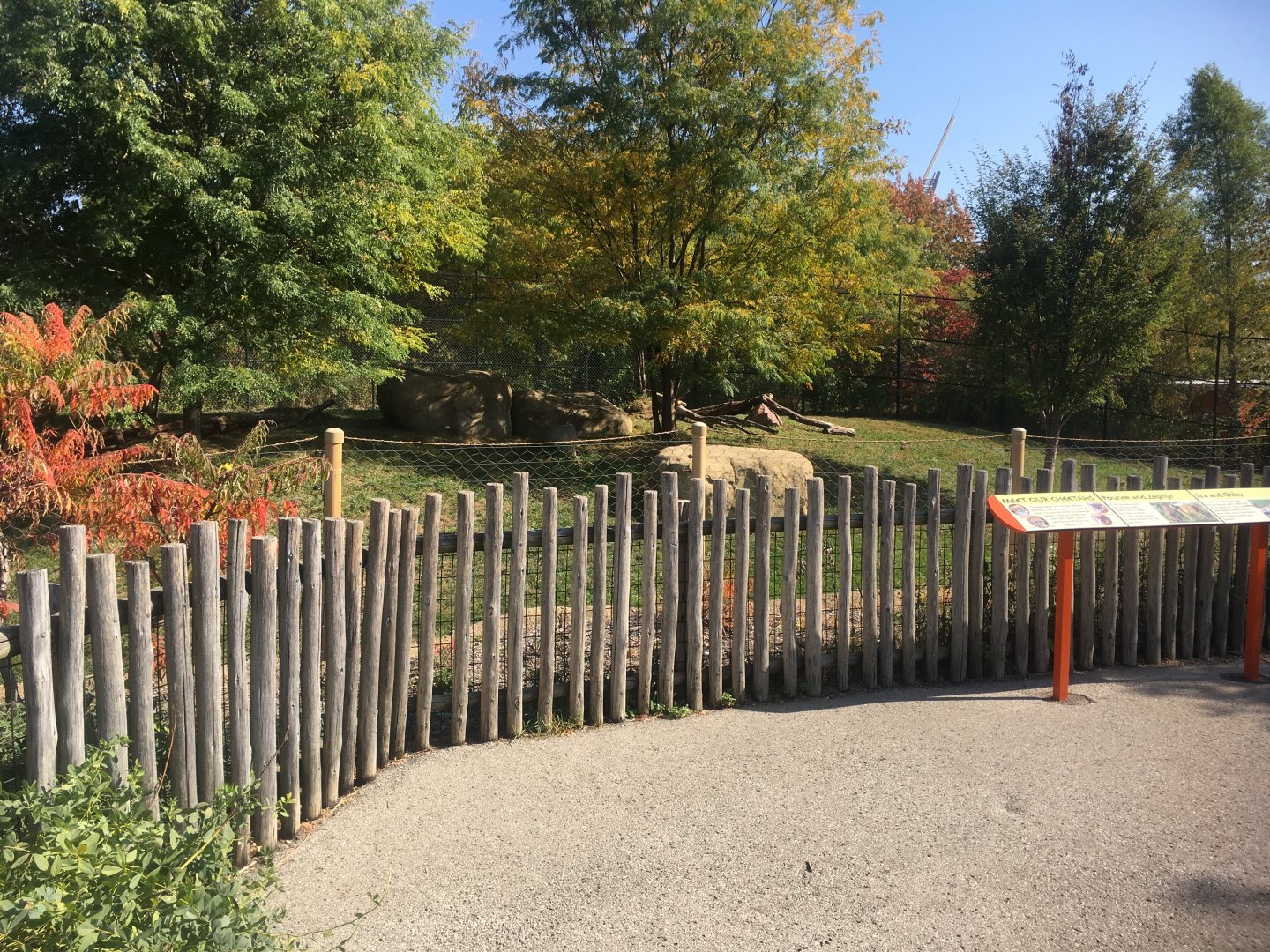 Plains - Cheetah Exhibit