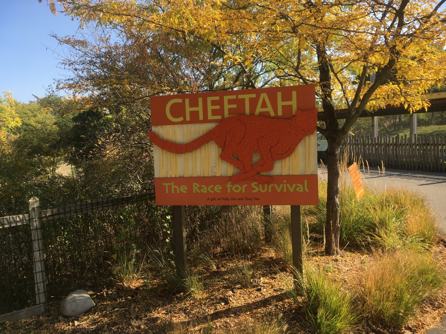 Plains - Cheetah: The Race for Survival Sign