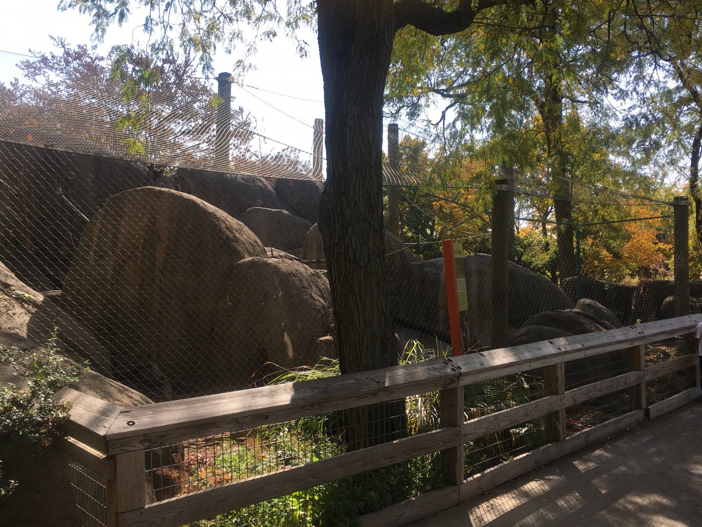 Plains - Guinea Baboon Exhibit