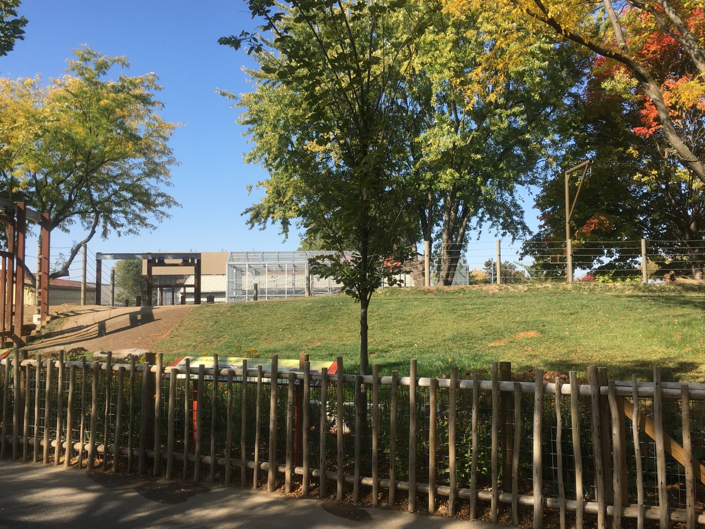 Plains - New! Tembo Camp - African Elephant Exhibit