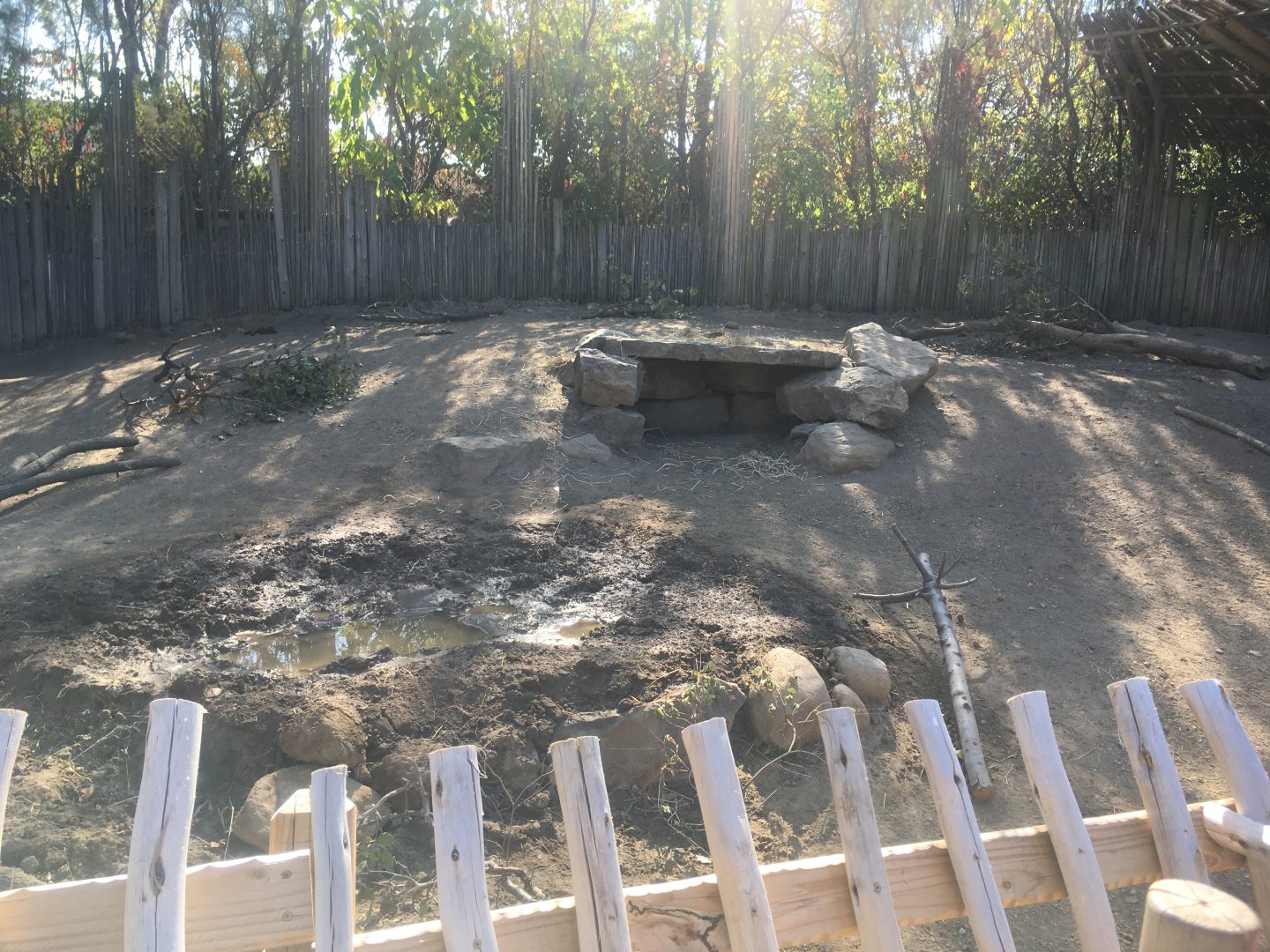 Plains - Newly Renovated Warthog/Cape Porcupine Exhibit