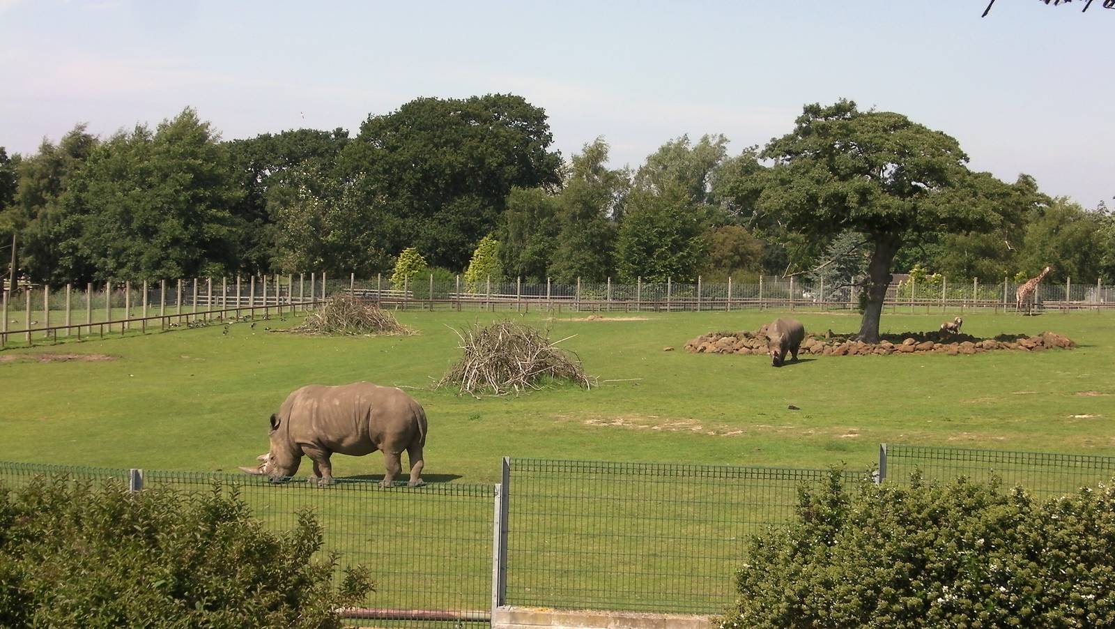 Plains of Africa - 01.08.2011