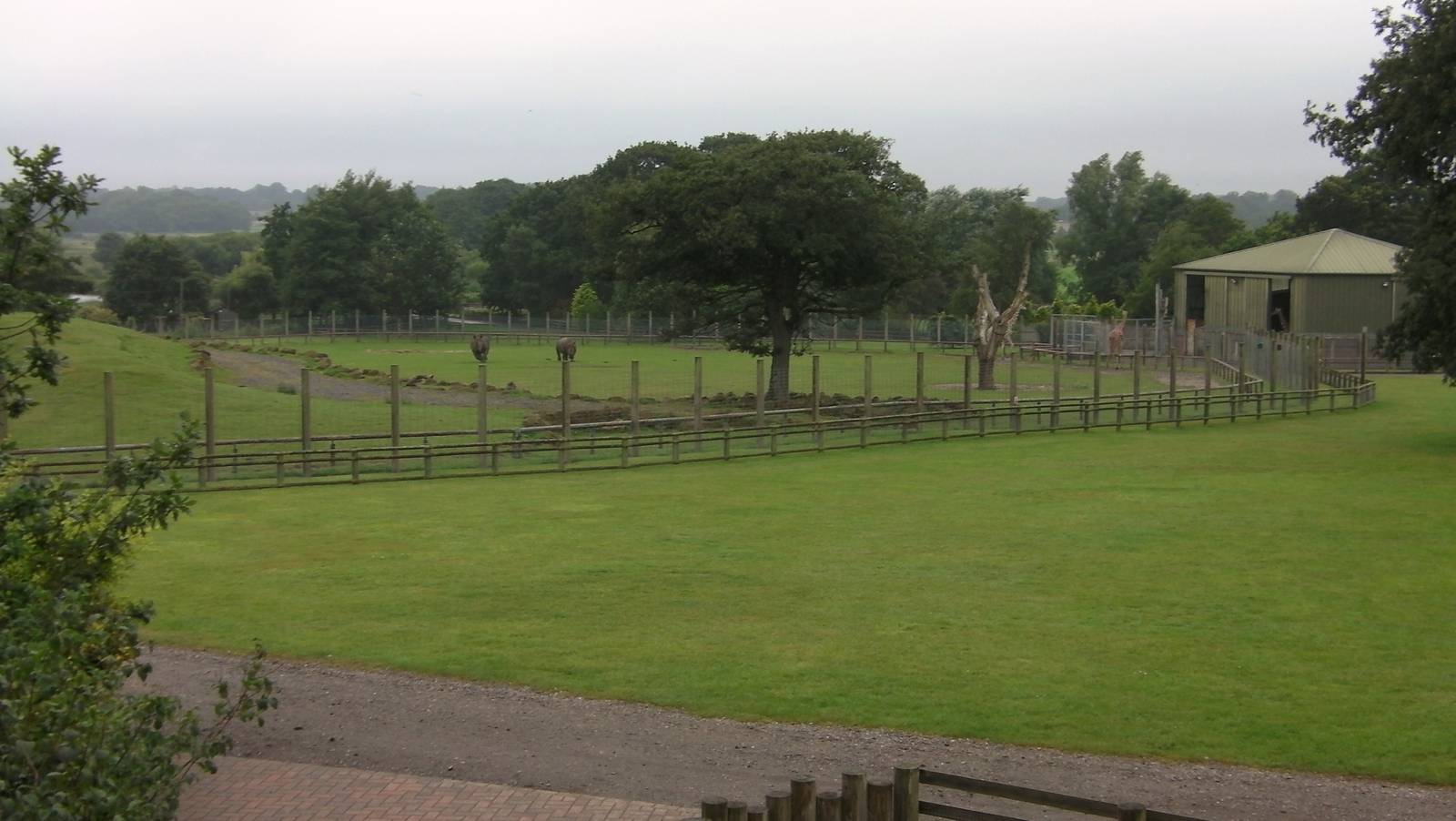 Plains of Africa - 04.08.2011