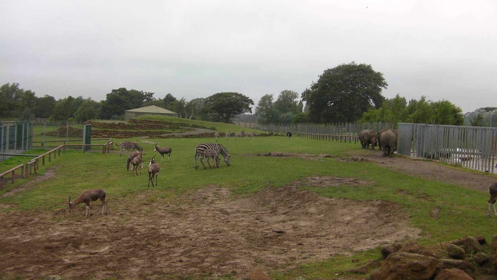 Plains of Africa - 04.08.2011