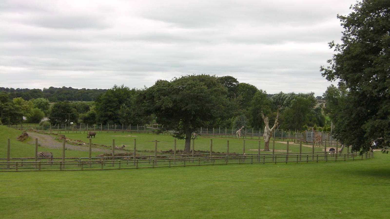 Plains of Africa - 29.07.2011