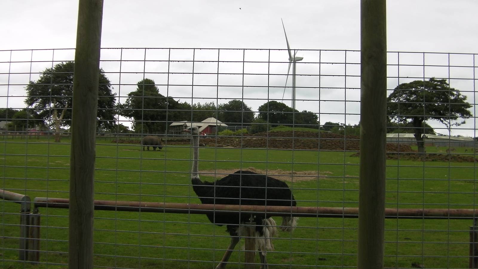 Plains of Africa - 29.07.2011