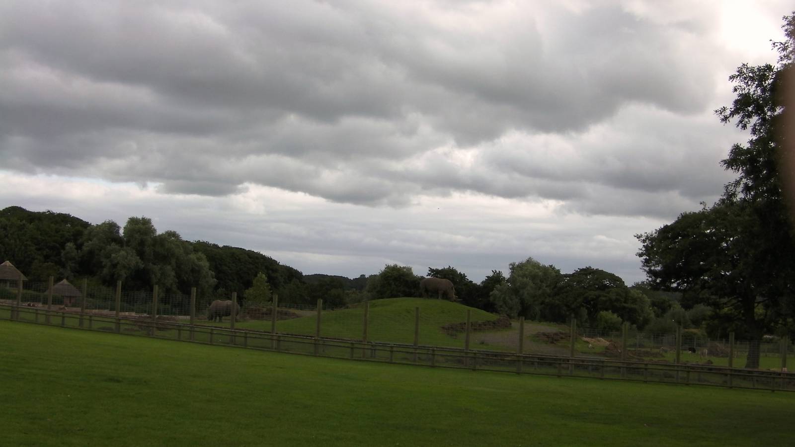 Plains of Africa  - 29.07.2011