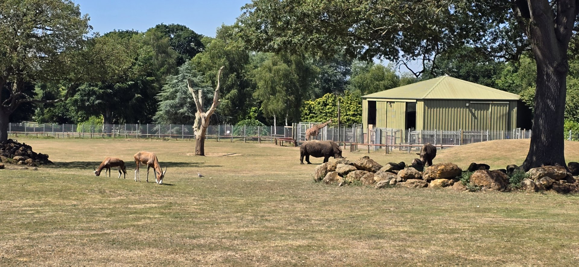 Plains of Africa exhibit
