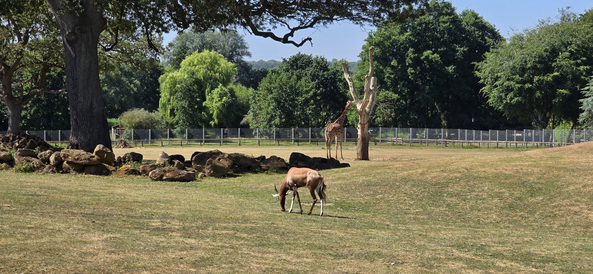 Plains of Africa exhibit