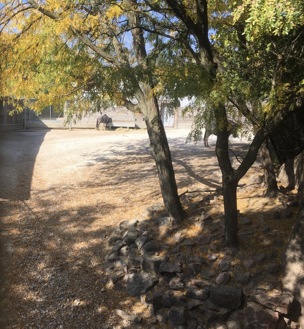 Plains - Offset Area for Savanna Animals