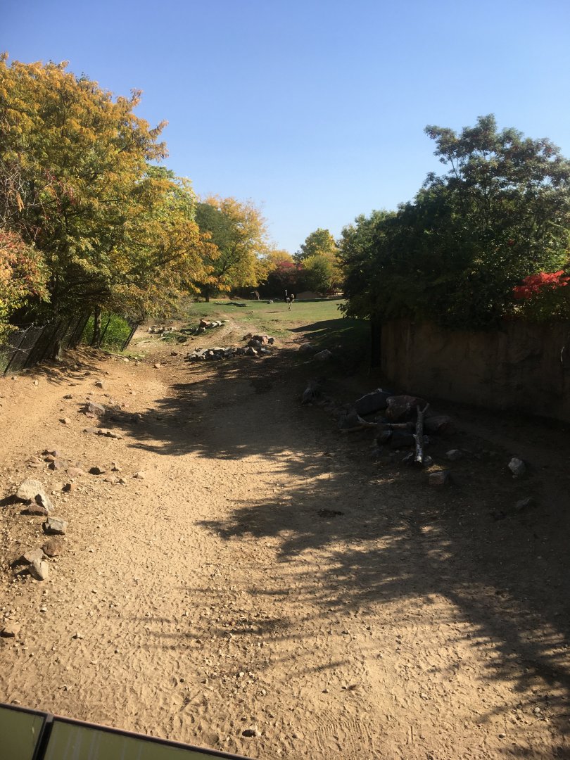 Plains - Savanna View