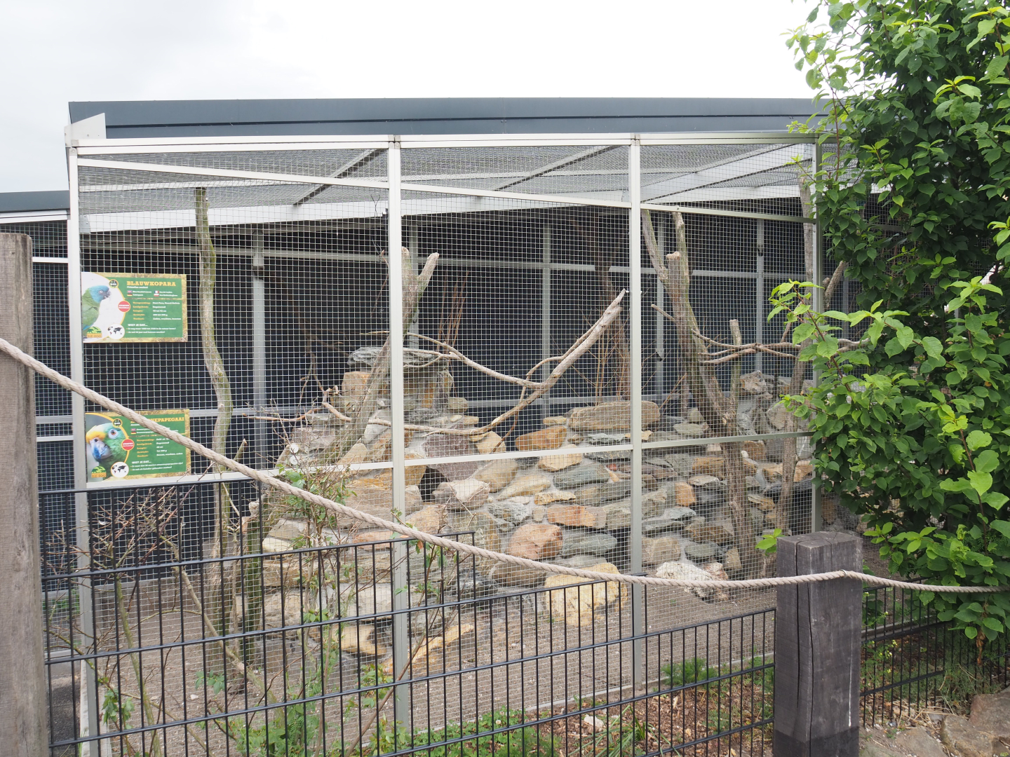 Plains viscacha, Amazon parrot and Blue-headed macaw exhibit, 2022-05-17