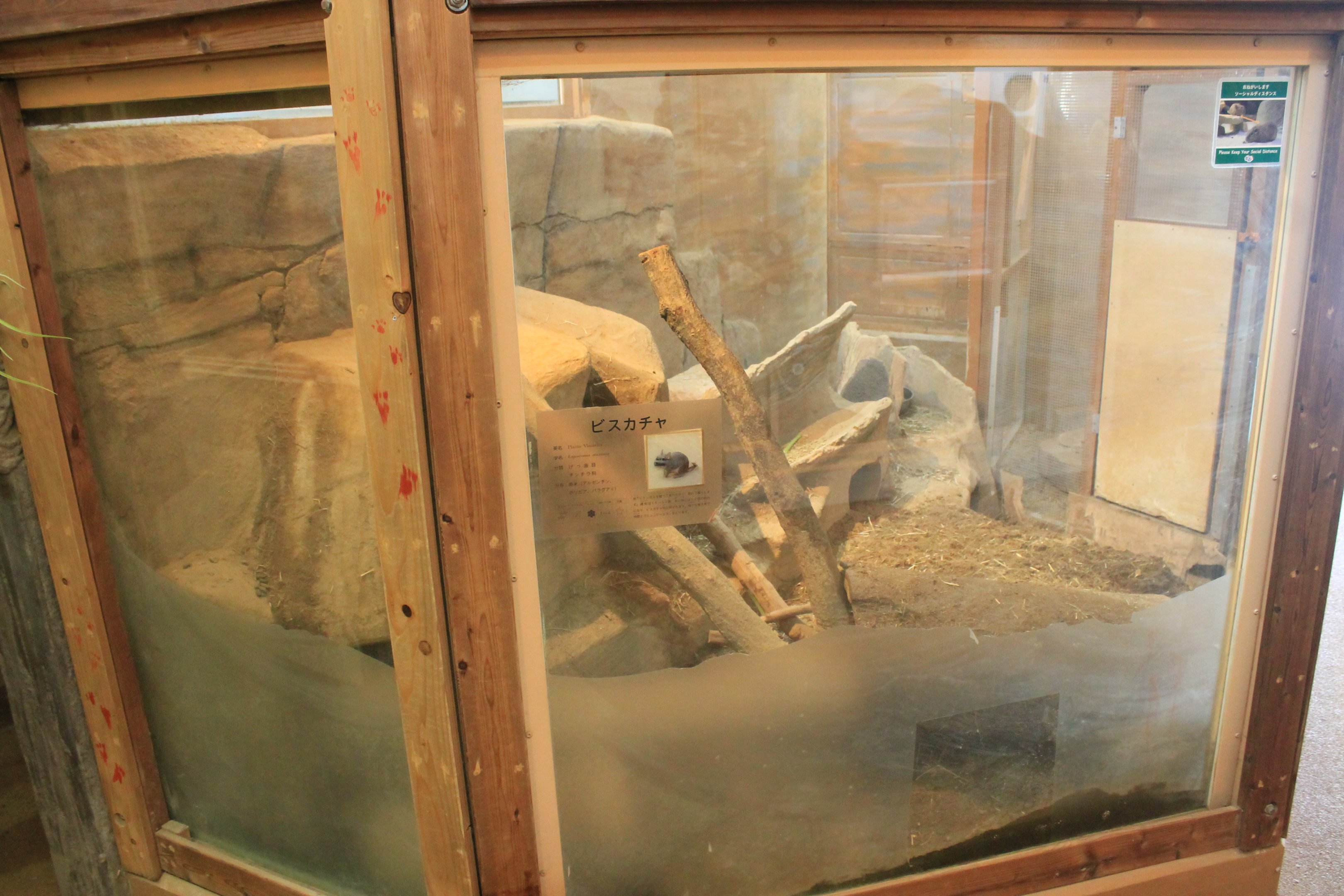 Plains Viscacha enclosure - Saitama Childrens Zoo