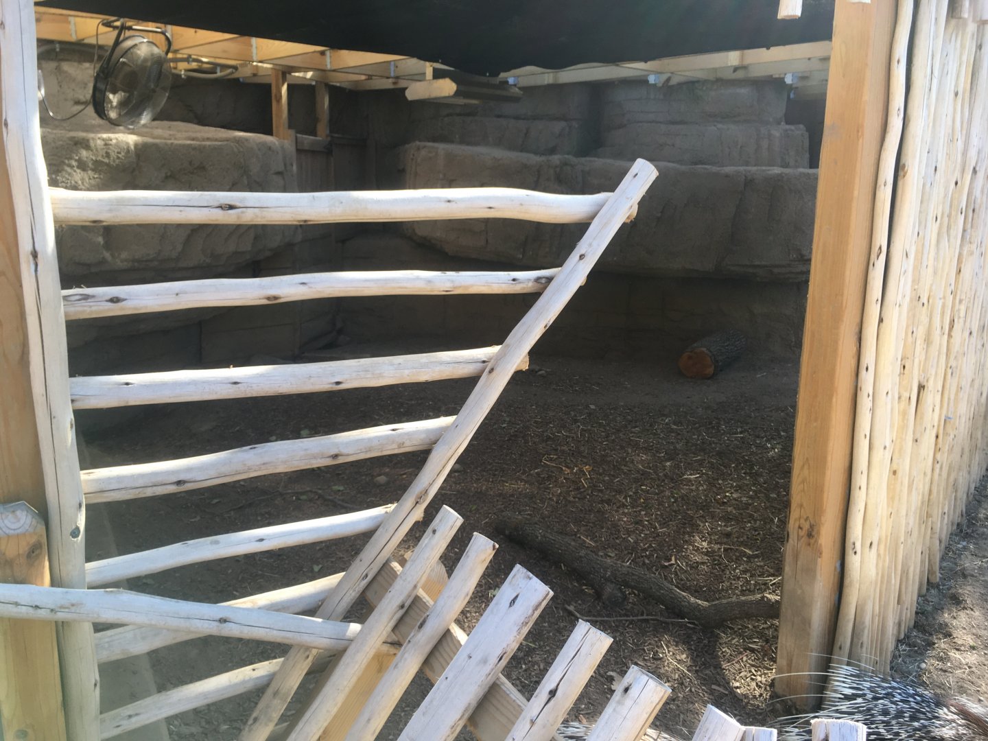 Plains - Warthog/Cape Porcupine Indoor Exhibit