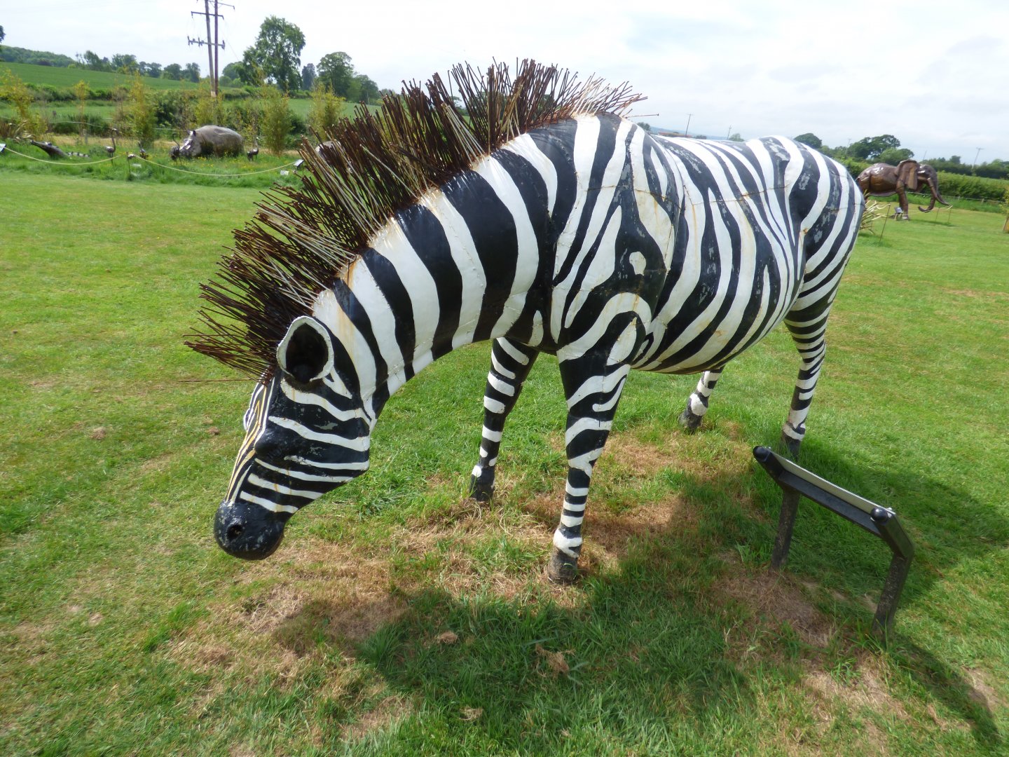 Plains Zebra at British Iron Works Centre