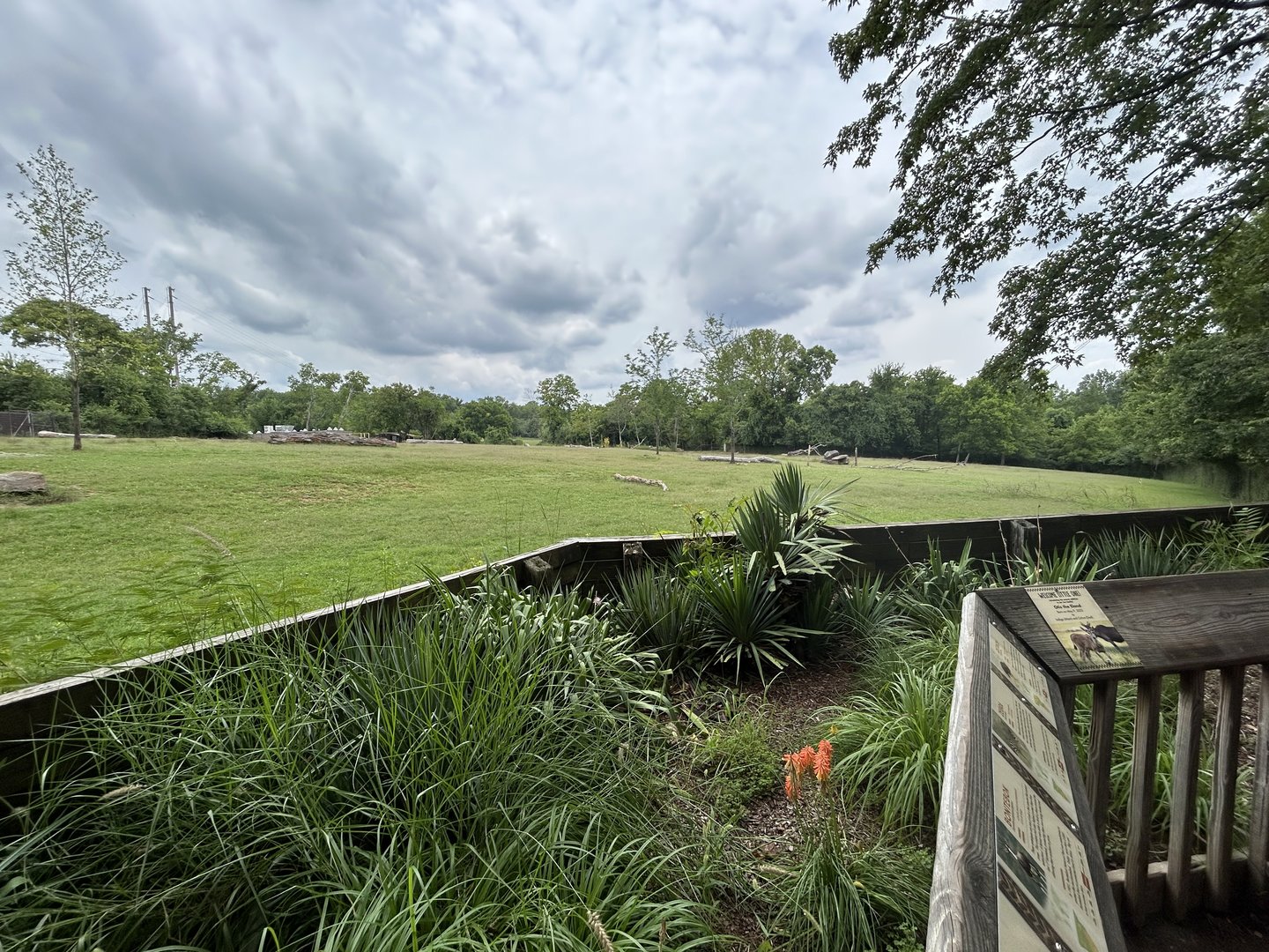 Plains Zebra, Common Eland, Bontebok & Ostrich Exhibit
