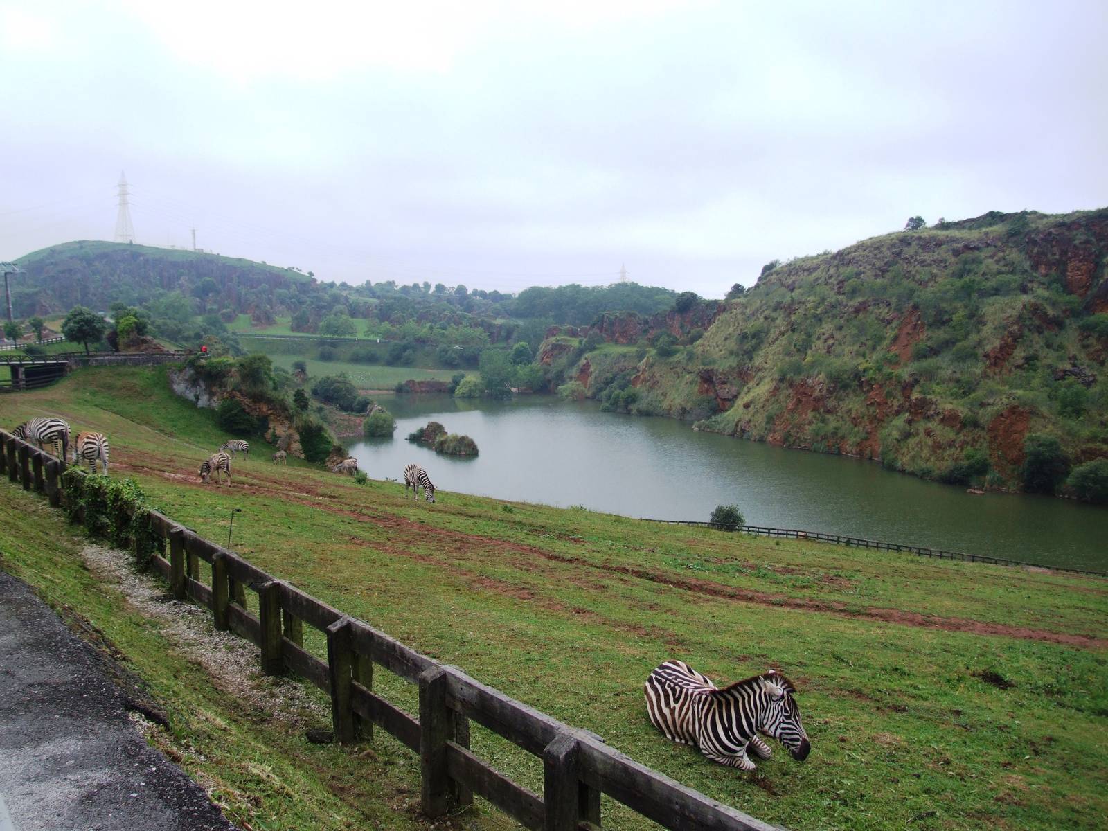Plains Zebra Enclosure at Cabarceno, 11/06/15