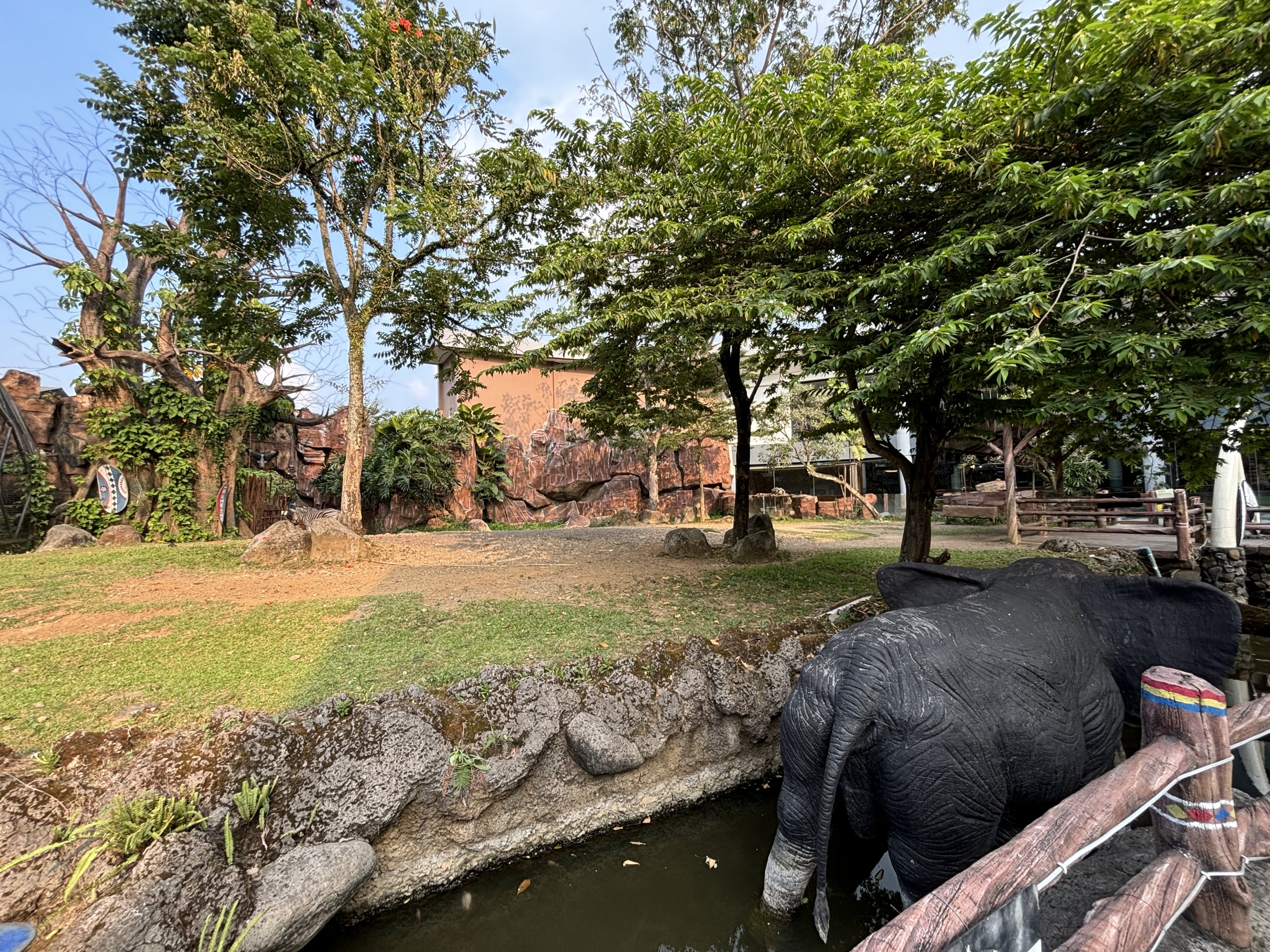 Plains Zebra Exhibit - Royal Safari Garden Resort