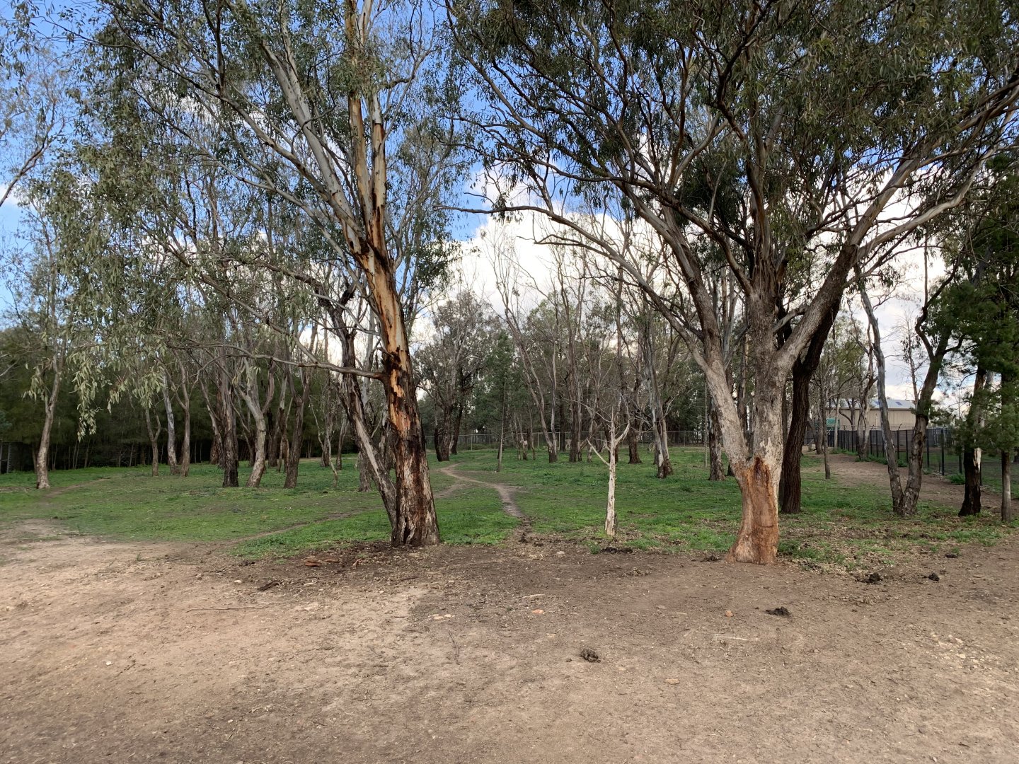 Plains Zebra Exhibit