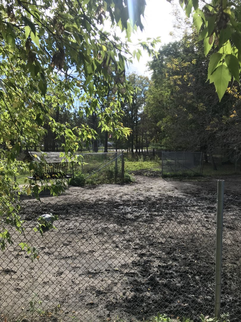 Plains Zebra Exhibit