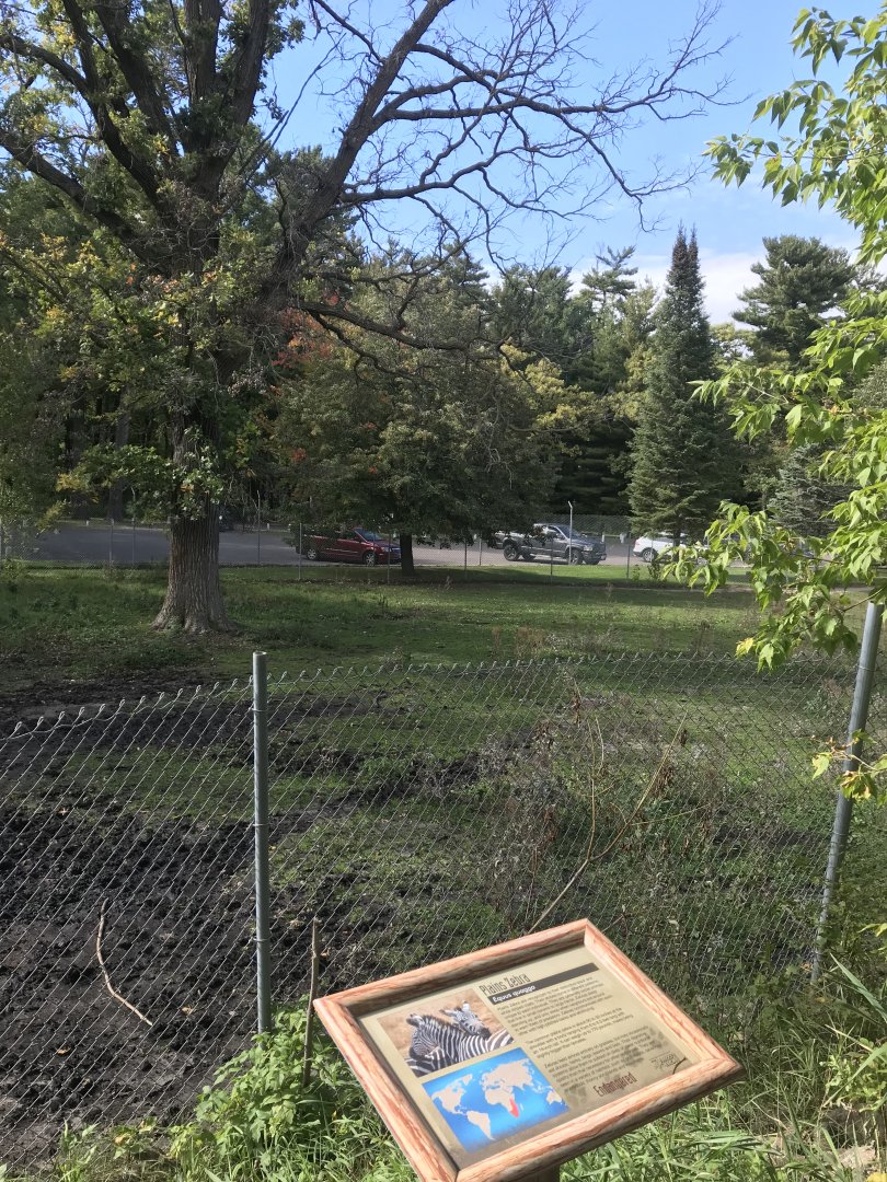 Plains Zebra Exhibit