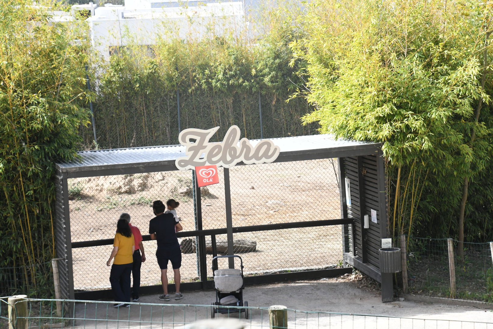 Plains Zebra exhibit